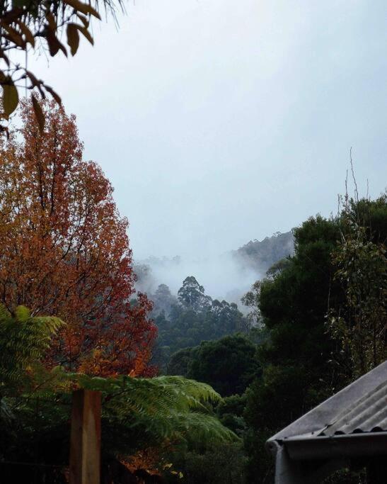 Harrys House Warburton - Peaceful Riverside Cottage In The Perfect Location Ngoại thất bức ảnh