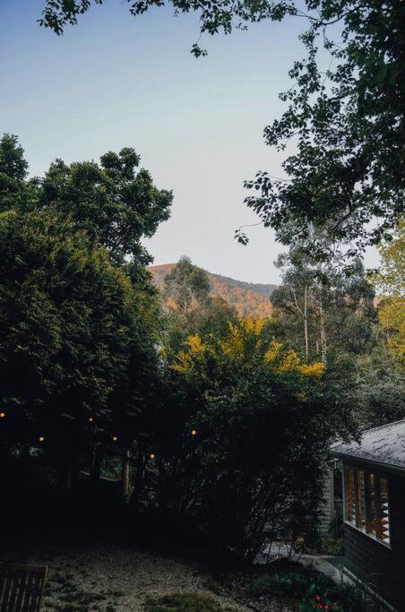 Harrys House Warburton - Peaceful Riverside Cottage In The Perfect Location Ngoại thất bức ảnh